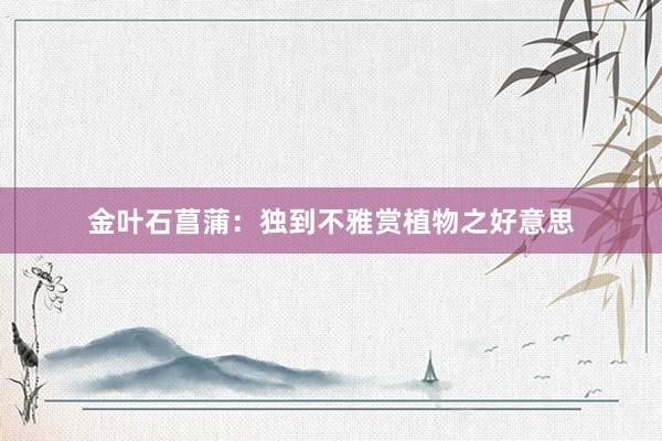 金叶石菖蒲：独到不雅赏植物之好意思