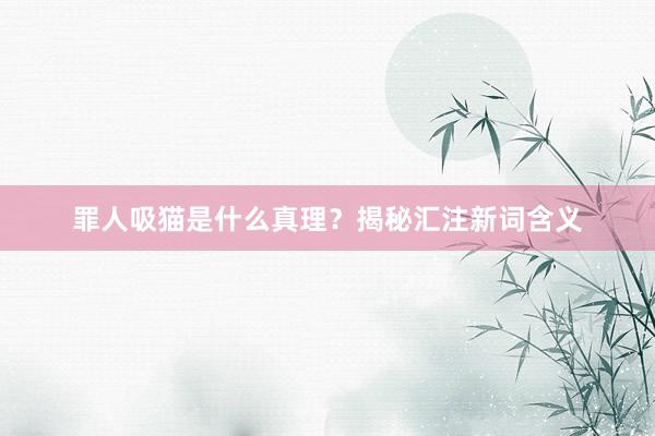 罪人吸猫是什么真理？揭秘汇注新词含义