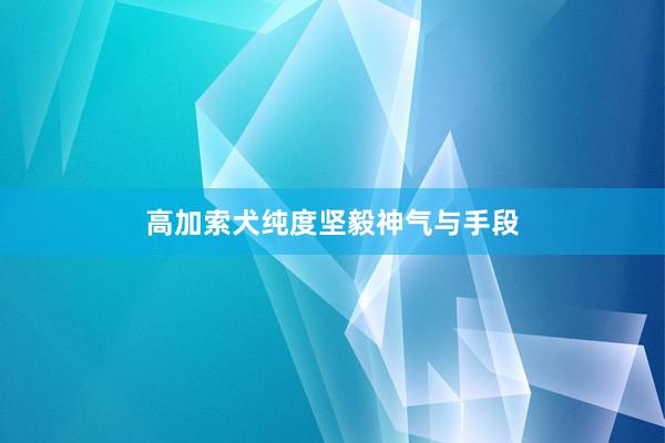 高加索犬纯度坚毅神气与手段