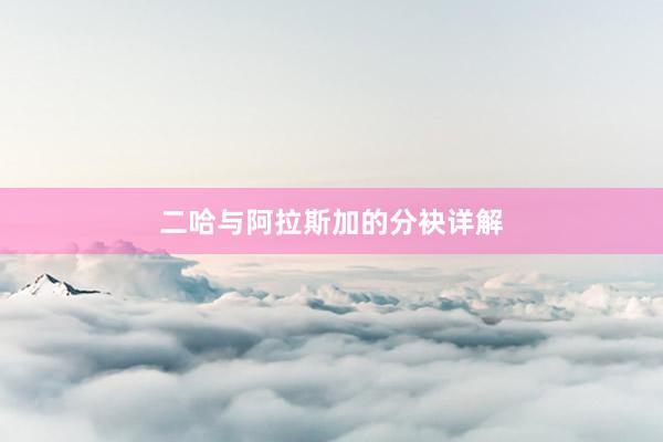 二哈与阿拉斯加的分袂详解